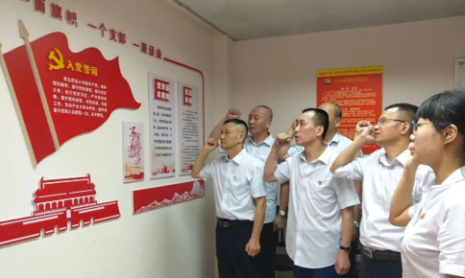 各子公司开展主题党日活动，庆祝建党99周年