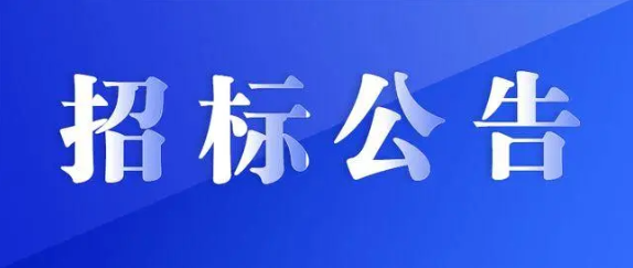 江西CQ9电子_官网审计及财务咨询服务采购项目招标公告