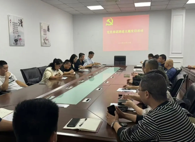 景德镇CQ9电子_官网:开展党员亮身份、承诺践诺主题党日活动
