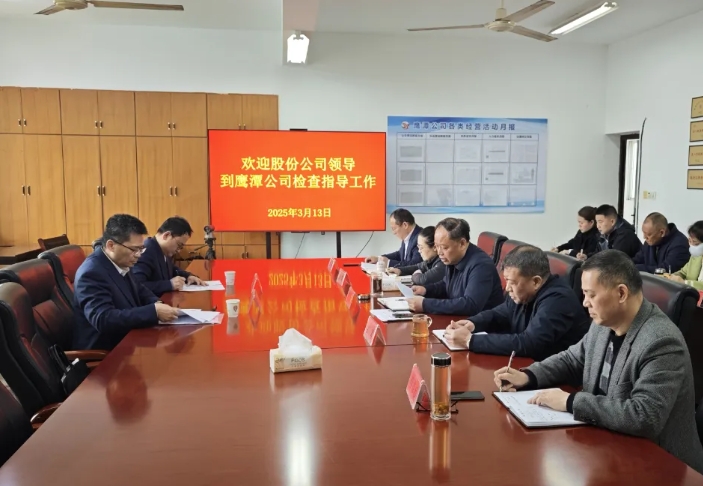 肖良芝一行到鹰潭公司检查指导