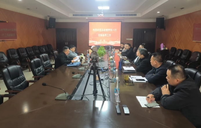 李伟、占梁一行在九江CQ9电子_官网召开调研会